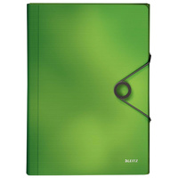 Teczka z przegródkami Leitz Solid 6 przegródek jasnozielony