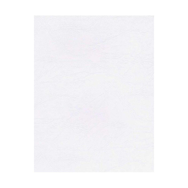 Papier wizytówkowy A4 biały skóra 246g W09 Kreska