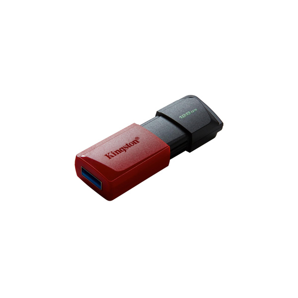 Pamięć przenośna pendrive Kingston 128GB Data Travel Expodia M