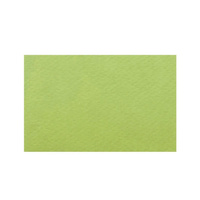 Papier fakturowany A4 15 Pistacchio 220g pistacjowy