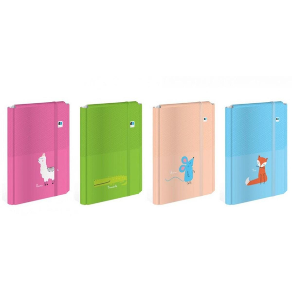 Teczka z gumką dla dzieci A4+ twarda B&B Interdruk