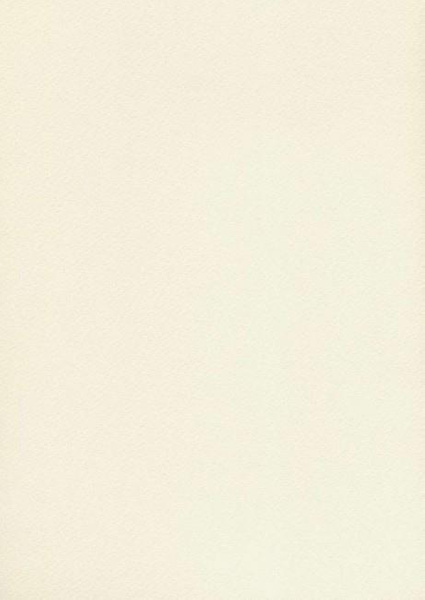 Papier wizytówkowy A4 ecru tłoczony 200g W20 Kreska