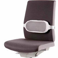 Podpórka pod plecy Fellowes I-Spire szara