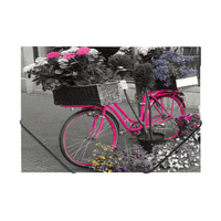 Teczka na gumkę Panta Plast Bike A4