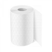 Ręcznik papierowy celuloza 19x50m