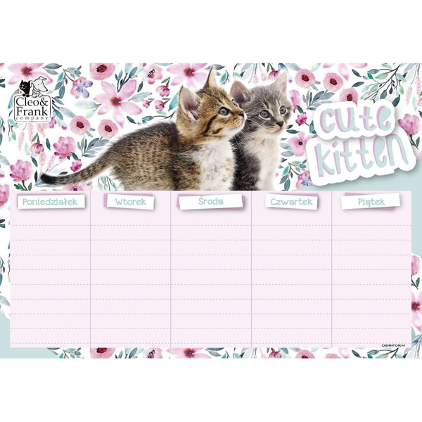 Plan lekcji Cleo i Frank