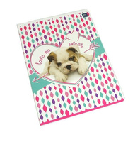 Zeszyt A5 16 kartek w 3 linie kolorowe Interdruk