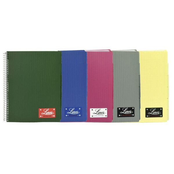 Kołonotatnik A4 150 kartek kratka Mintra Lines szary