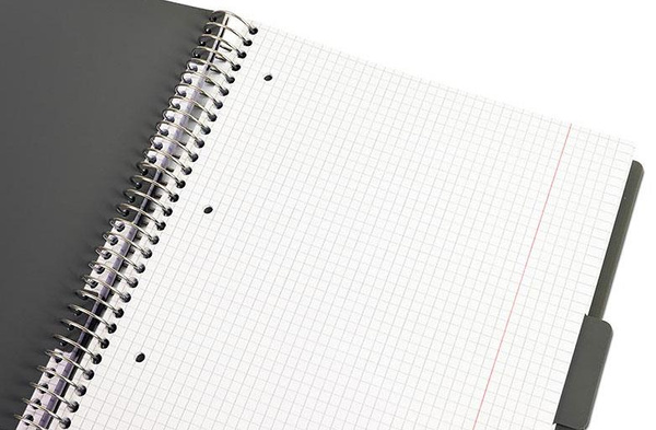 Kołonotatnik A4 150 kartek kratka Mintra Lines szary