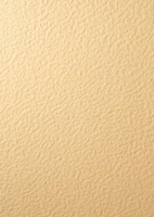 Papier wizytówkowy A4 ecru baranek 246g W60 Kreska