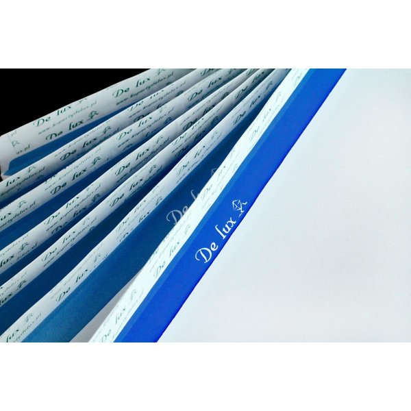 Koperty DL Delux (110x220 mm) białe HK - 1000 sztuk