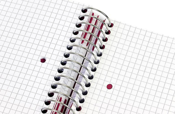 Kołonotatnik A4 150 kartek kratka Mintra Lines szary