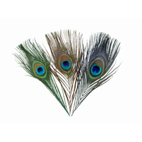 Piórka ozdobne 15cm Aliga