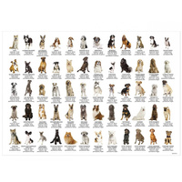 Podkład oklejany edukacyjny Psy