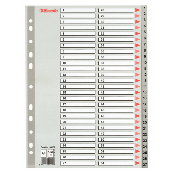 Przekładki do segregatora A4 PP 1-54 szare Esselte
