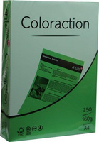 Papier ksero kolorowy A4 80g Dublin zielony - 100 arkuszy Coloraction