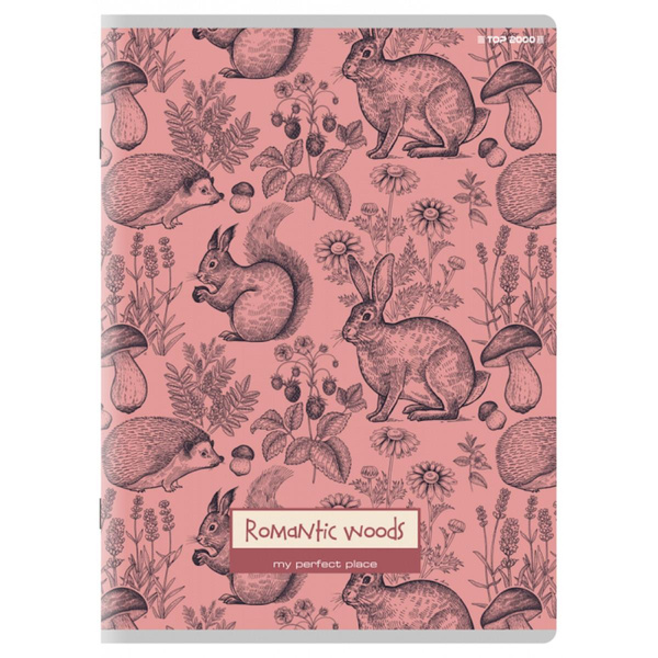 Zeszyt A5 w kratkę z marginesem 80 kartek Megamix Top 2000