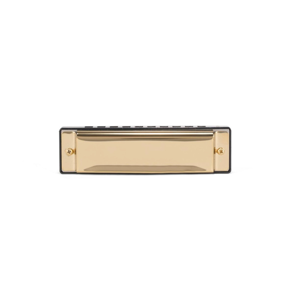 Harmonijka DIY Kikkerland