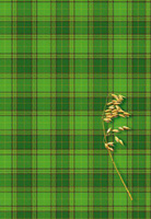 Brulion A4 160 kartek w kratkę Kreska