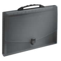 Teczka z przegródkami i rączką Esselte Vivida 12 przegród czarny