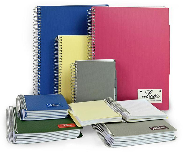 Kołonotatnik A4 150 kartek kratka Mintra Lines szary