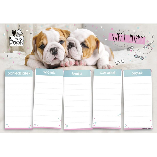 Plan lekcji Cleo i Frank