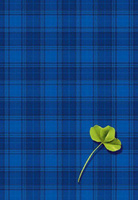 Brulion A4 400 kartek w kratkę Kreska