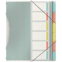 Teczka z przegródkami A4 6 przegród Esselte Colour Ice