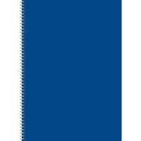 Kołobrulion A4 96 kartek gładki Kreska