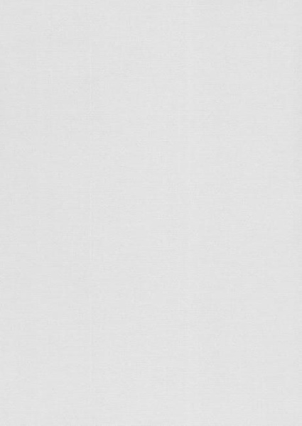 Papier wizytówkowy A4 biały sito 240g W12 Kreska