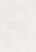 Papier wizytówkowy A4 ecru piórko 220g W27 Kreska