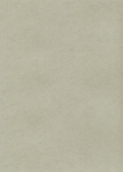 Papier wizytówkowy A4 platynowy gładki 235g W72 Kreska