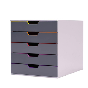 Pojemnik na dokumenty Durable Varicolor z 5 szufladkami