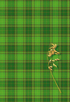 Brulion B5 200 kartek w kratkę Kreska