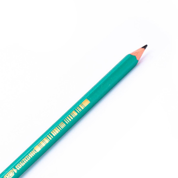 Ołówek Bic Evolution ecolutions HB