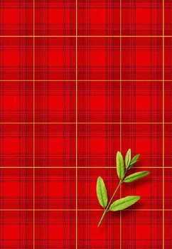 Brulion B5 96 kartek w kratkę Kreska