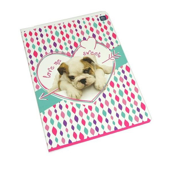 Zeszyt A5 16 kartek w 3 linie kolorowe Interdruk