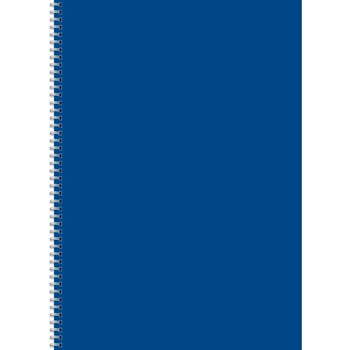 Kołobrulion A4 96 kartek gładki Kreska